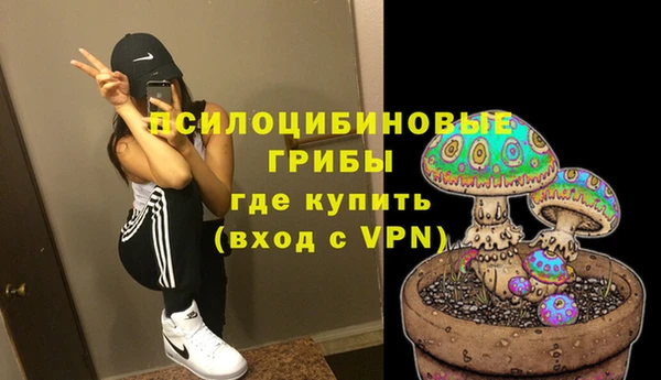 МДМА Алексеевка