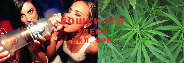 дурь Алексин