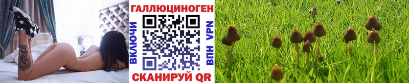 Псилоцибиновые грибы Magic Shrooms  Артёмовск 